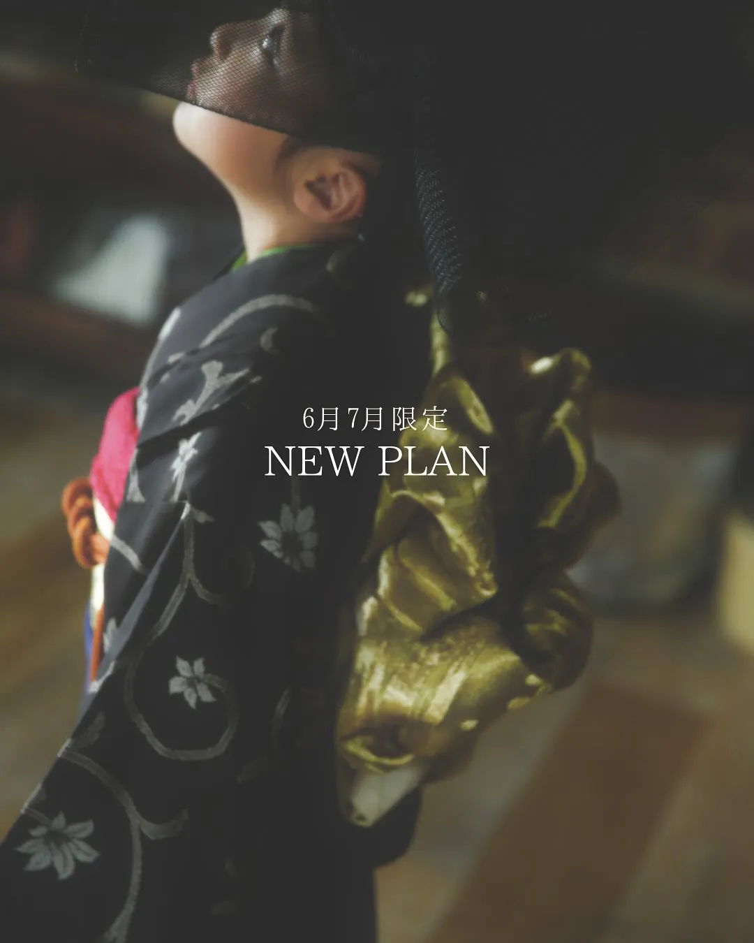 6月7月限定 NEW PLAN
